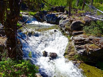 High angle view of waterfall in forest