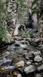 Rocks in pond