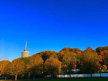 Trees and buildings against blue sky