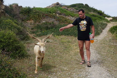 Man reaching for goat on grassy field