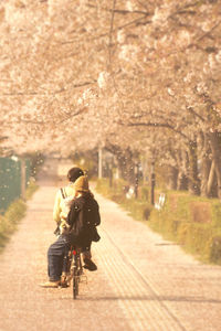 Rear view of woman riding bicycle on road in city