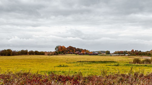 Scenic view of landscape against sky