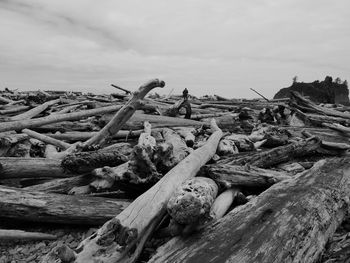 Stack of logs against sky