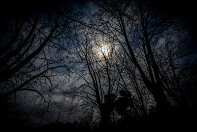 Silhouette of bare trees against sky at sunset