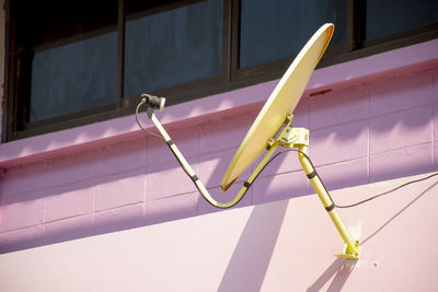 Close-up of pink toy on wall