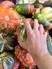 High angle view of pumpkins in market