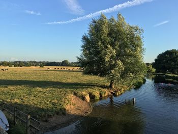 View of river by field against sky