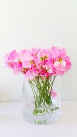 Close-up of pink roses