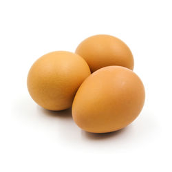 Close-up of eggs against white background