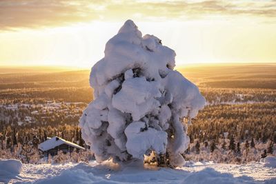 Close-up of snow covered landscape during sunset