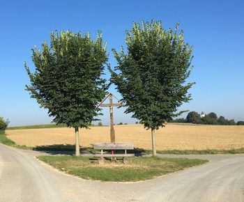 Road by trees against clear sky