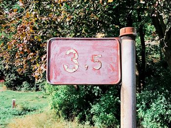 Close-up of information sign against trees