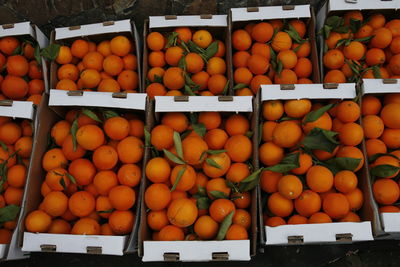 High angle view of oranges in box
