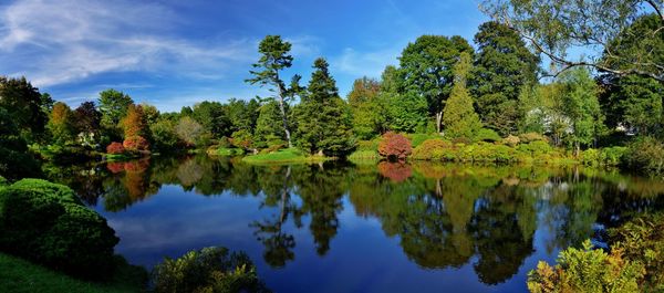 Scenic view of lake by trees against sky