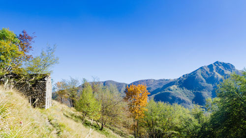 Scenic view of landscape against clear blue sky