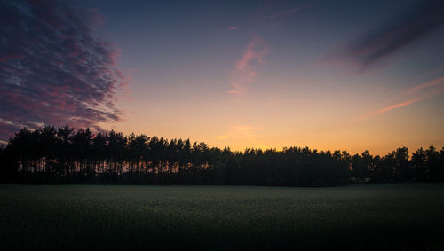 Silhouette trees on field against sky at sunset