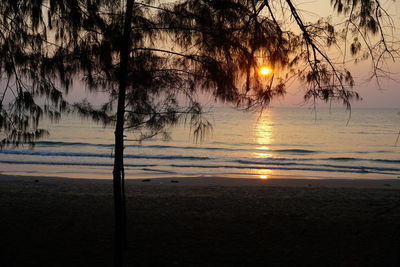 Scenic view of snow covered land during sunset