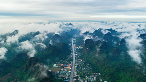 High angle view of trees and buildings in city