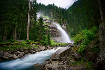 Scenic view of waterfall in forest