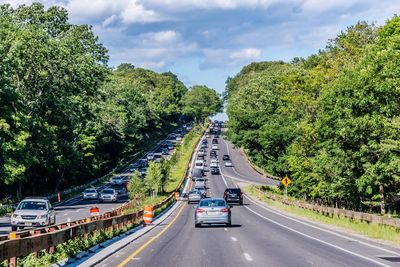 Cars driving on a road passing through trees