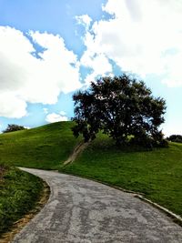 Road by trees against sky