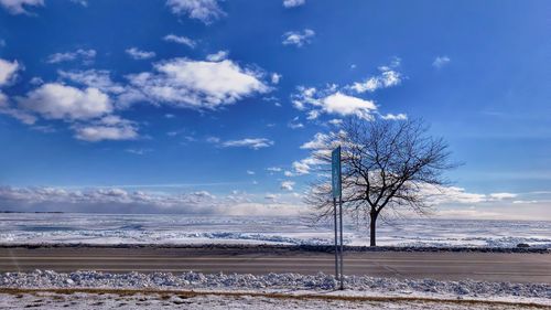 Bare tree on snow covered land against sky