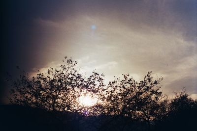 Silhouette trees against sky during sunset