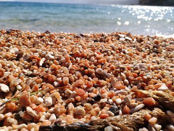 Close-up of pebbles at beach