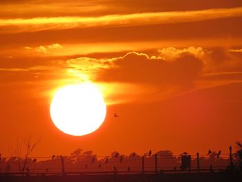 Scenic view of sunset