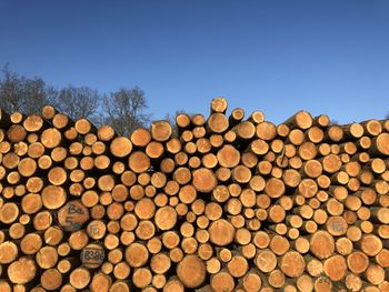 Stack of logs in forest against clear sky