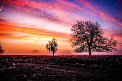 Silhouette tree against dramatic sky during sunset