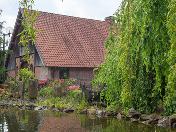 Plants growing on building by lake against sky