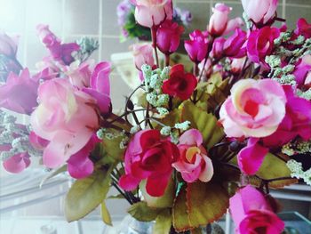 Close-up of pink flowers