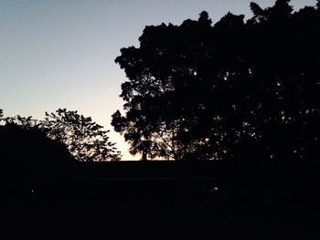 Low angle view of silhouette trees against sky at night