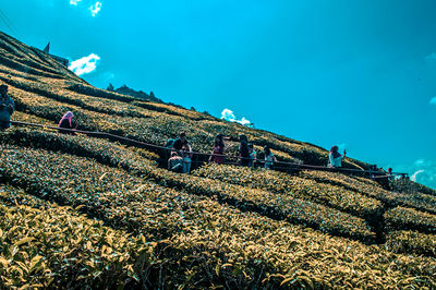 People on field against clear blue sky