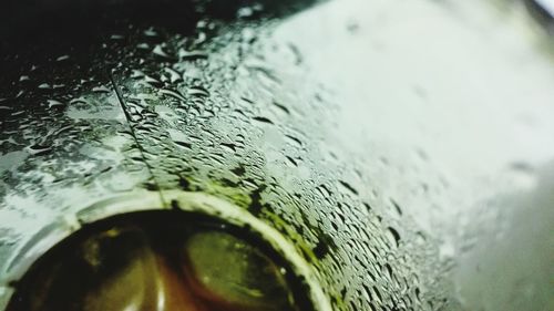 Close-up of water drops on leaf