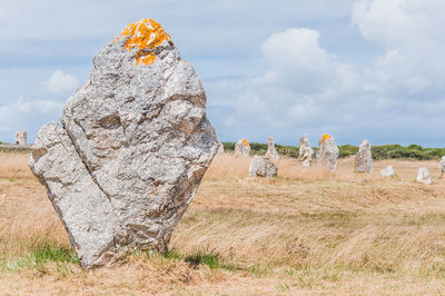 Rock formations on field against sky