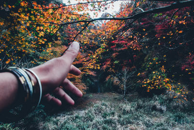 Cropped hand reaching trees in forest