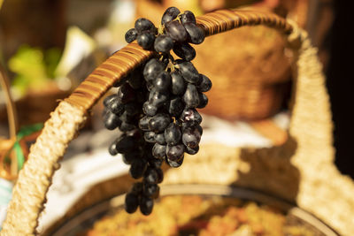 Black grapes. branch with fruit. juicy berry. a bunch of grapes on a wicker handle of a basket.