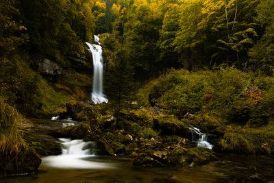 Scenic view of waterfall in forest