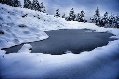 Snow covered land and trees against sky