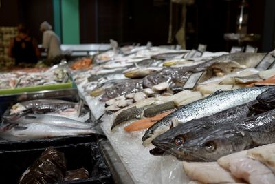 Fish for sale in market