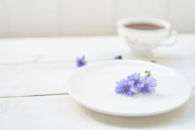 Close-up of white flowers on table