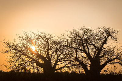 Low angle view of silhouette bare trees against sky during sunset