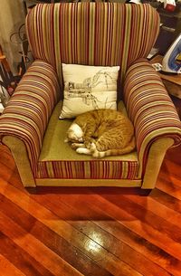 Cat sleeping on bed