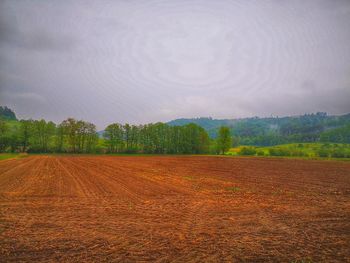 Scenic view of field against sky