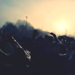 Close-up of water against sky during sunset