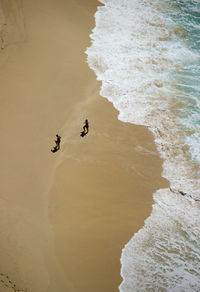 High angle view of crab on beach