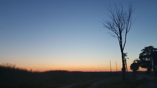 Silhouette bare tree on field against clear sky during sunset