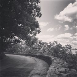 Road passing through forest